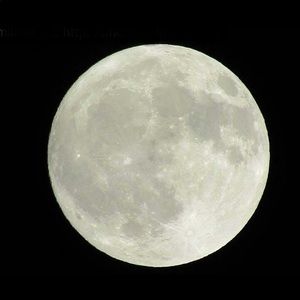 Meet your Posher, Tetsu